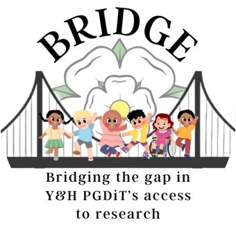 bridge_logo